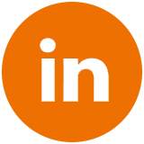 icon linkedin